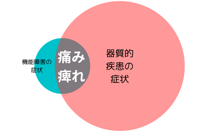 機能障害と器質的疾患の症状はオーバーラップする。器質的疾患由来の症状が強い場合