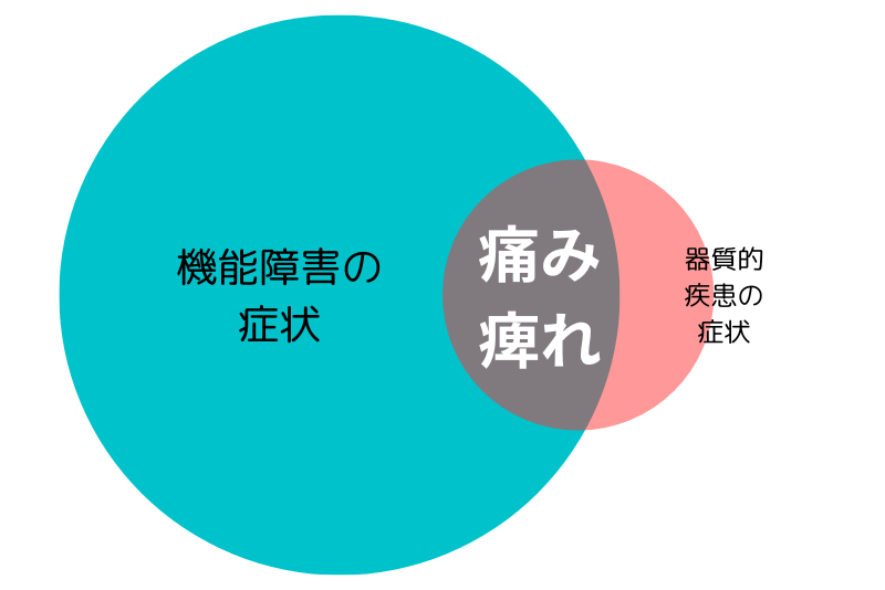 機能障害と器質的疾患の症状はオーバーラップする。機能障害由来の症状が強い場合