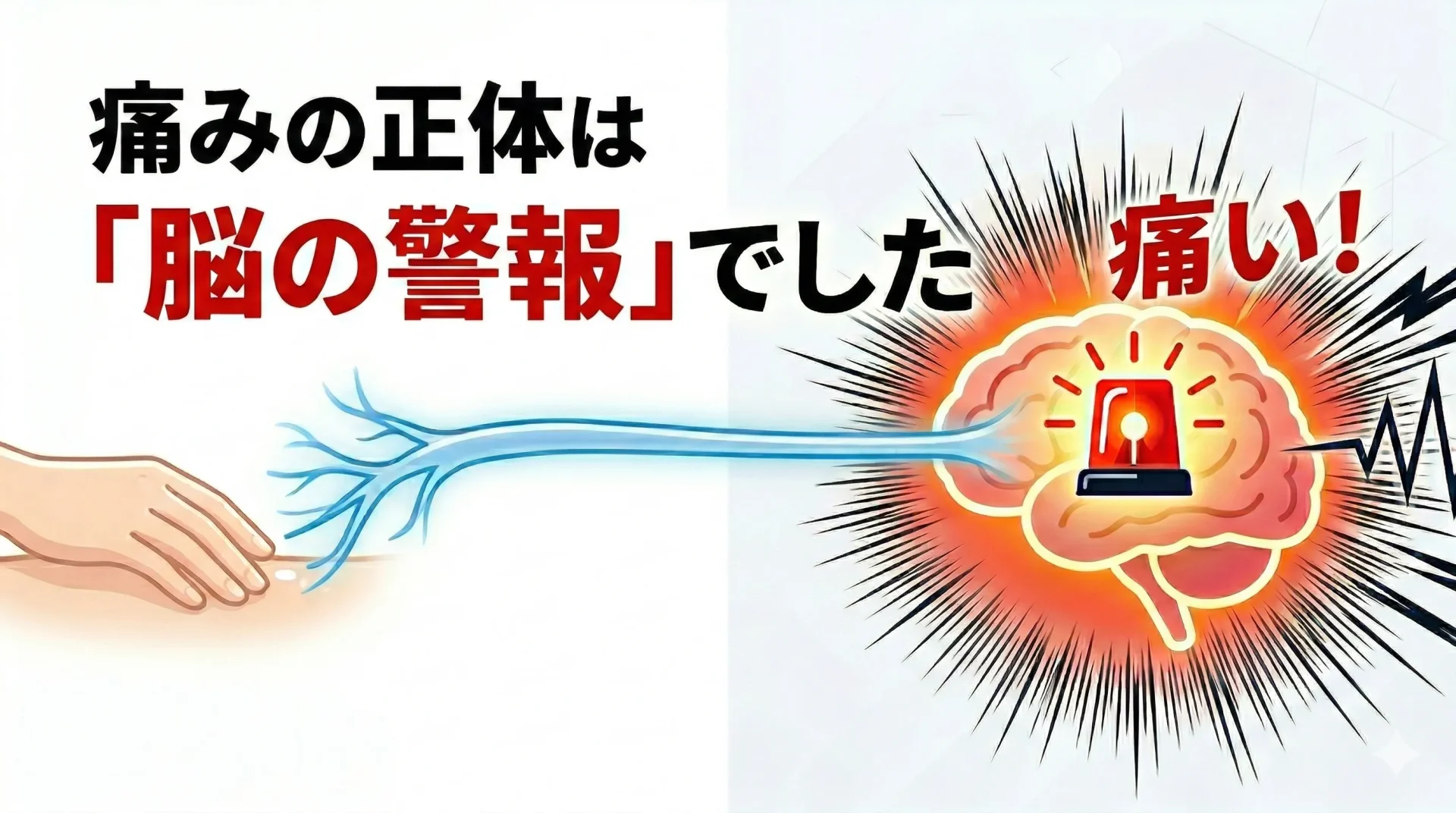 ブログのアイキャッチ画像。右側に赤いサイレンが鳴る脳のシルエットを描き、痛みが脳の警報であることを表現。左側には皮膚に触れる優しい手と、脳へつながるクリアな神経のラインを配置。「痛みの正体は脳の警報」という大きなタイトル文字が中央にある。