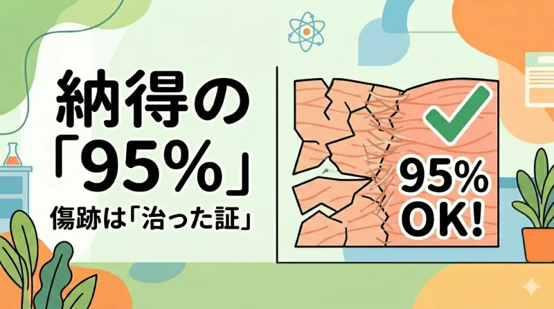 組織が修復される際、100%元通りではなく線維組織として95%程度まで回復する様子を示す図解。